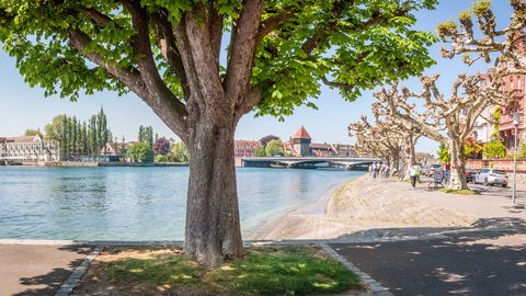 Konstanz
