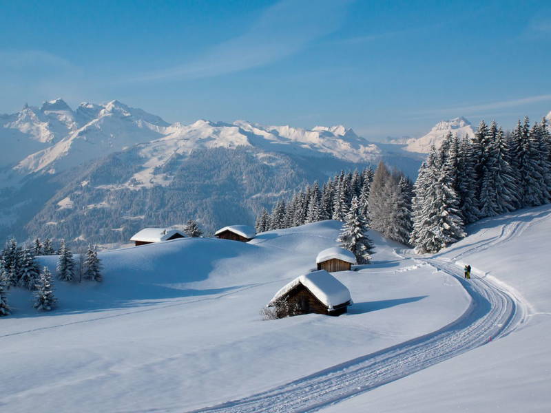 BERGGENUSS MIT IHREM VIERBEINER