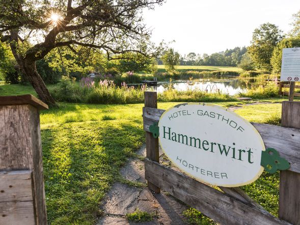 Der Hammerwirt - Hotel Gasthof Hörterer 