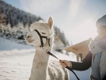 6 Tage Winter-Auszeit im Herzen des Großarltals