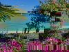Reif für die Insel - MAINAU