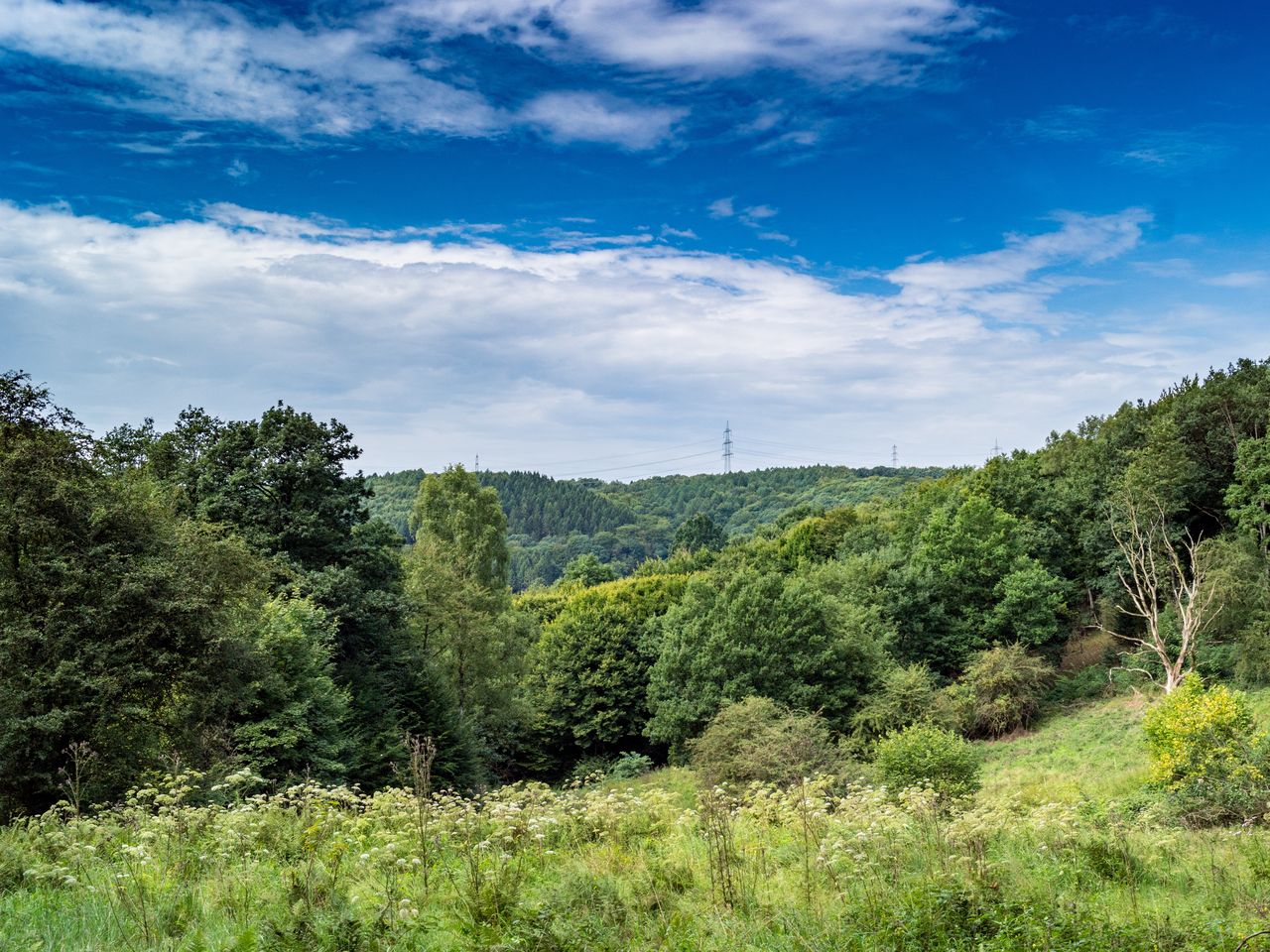 Freundschaftstrip ins Bergische Land