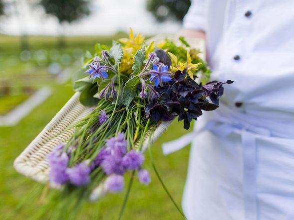 3 Tage Auszeit in der Rhön - Entspannen im Bio Hotel