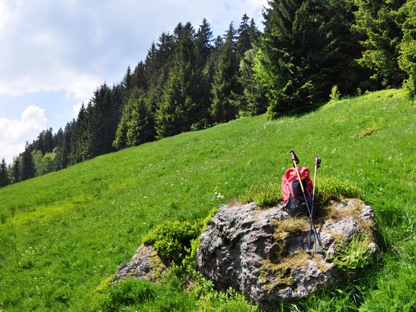 Thüringer Naturtage am Rennsteig