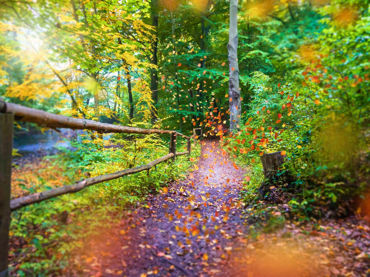 2 Tage Kleine Familien-Auszeit im Harz inkl Frühstück