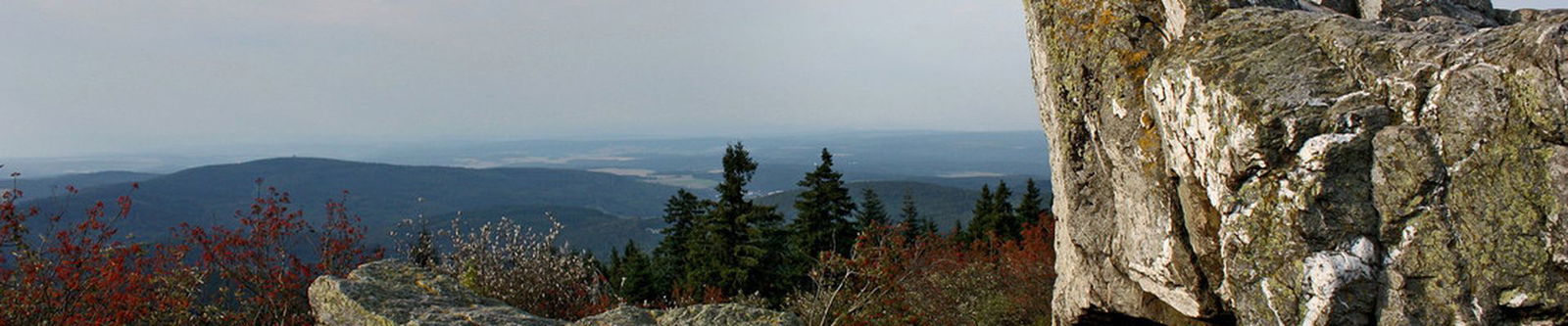 Feldberg, Schwarzwald