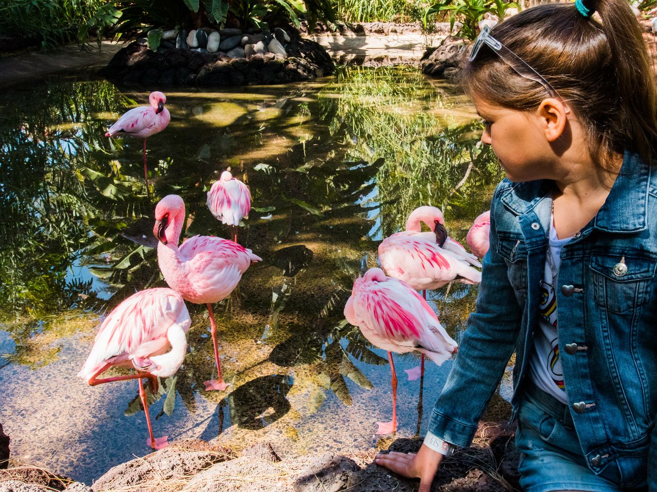 Besuch im Zoo Wuppertal: Ein Tag voller Entdeckungen