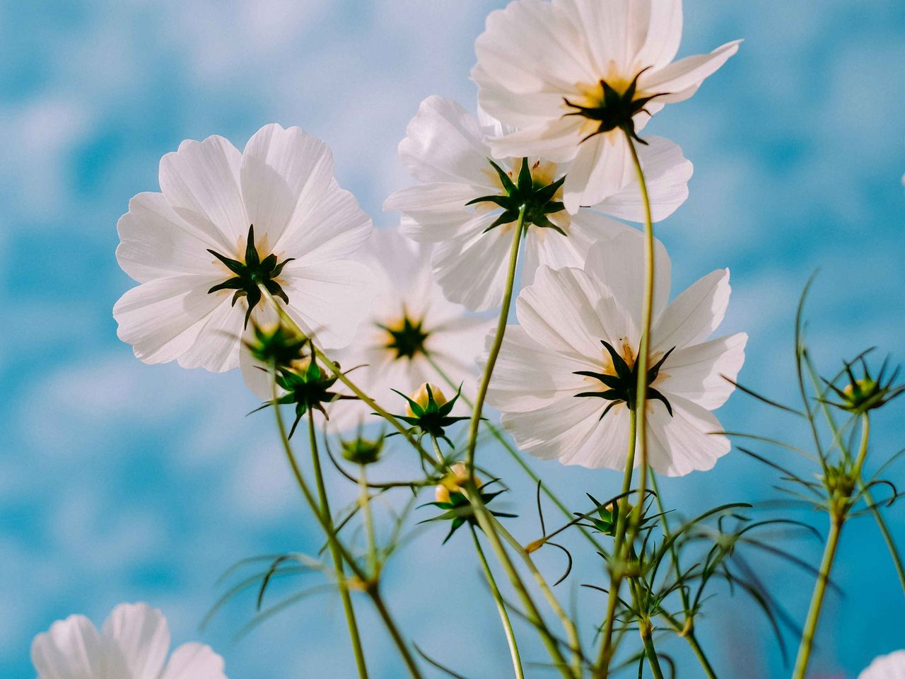 Hello Spring