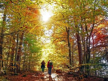 Herbstfarben & Harzpfade - 6 Tage inkl. Halbpension