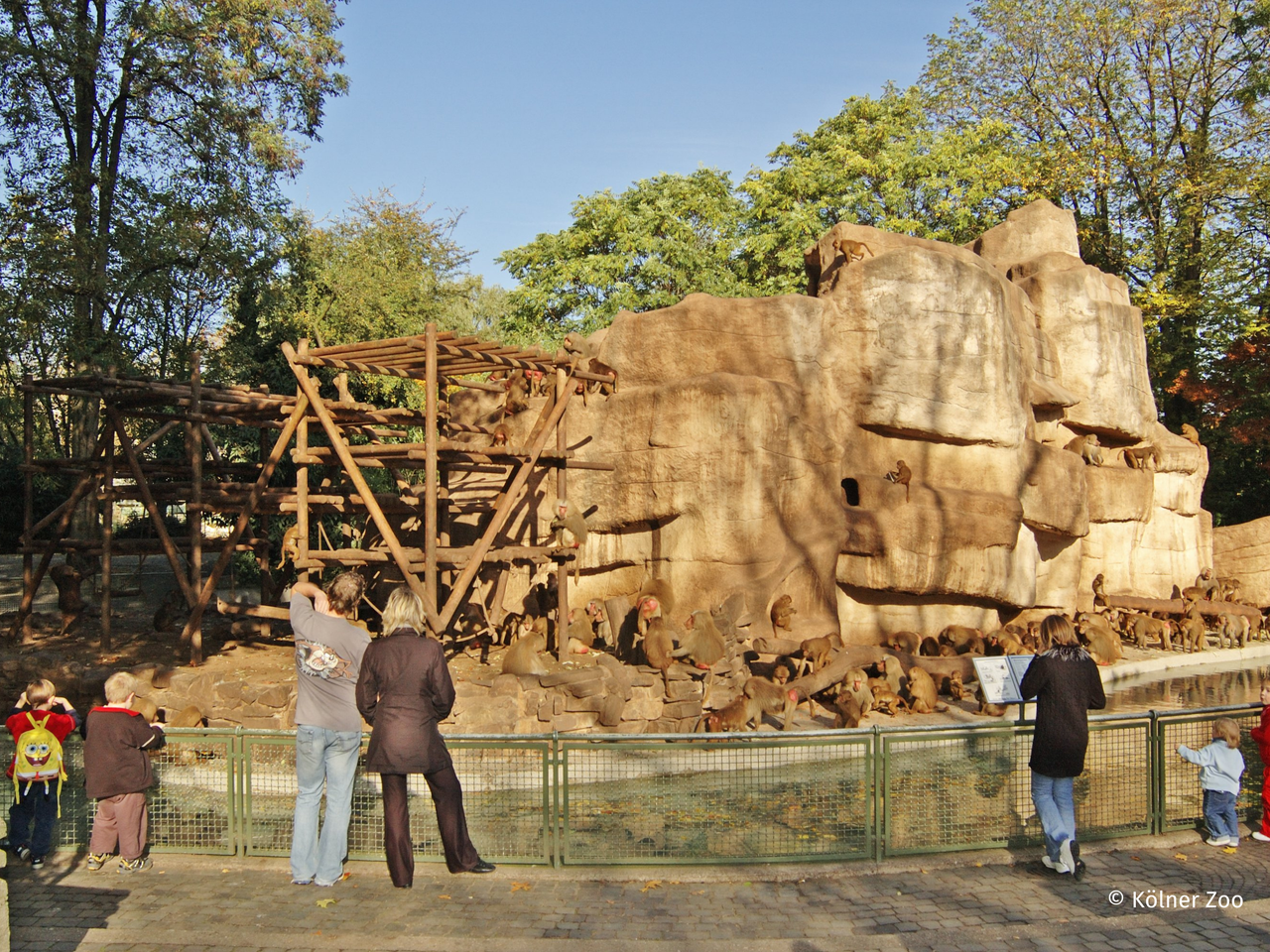 Kölner Zoo