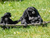 Serengeti-Park Hodenhagen mit Ticket und Hotel