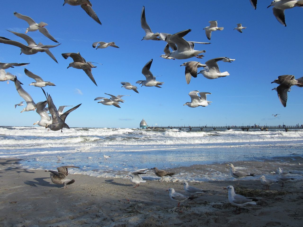 Einfach an die Ostsee - 11 Tage Ferienwohnung Zingst