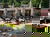 3 Tage Schwarzwald: Biker - Trip
