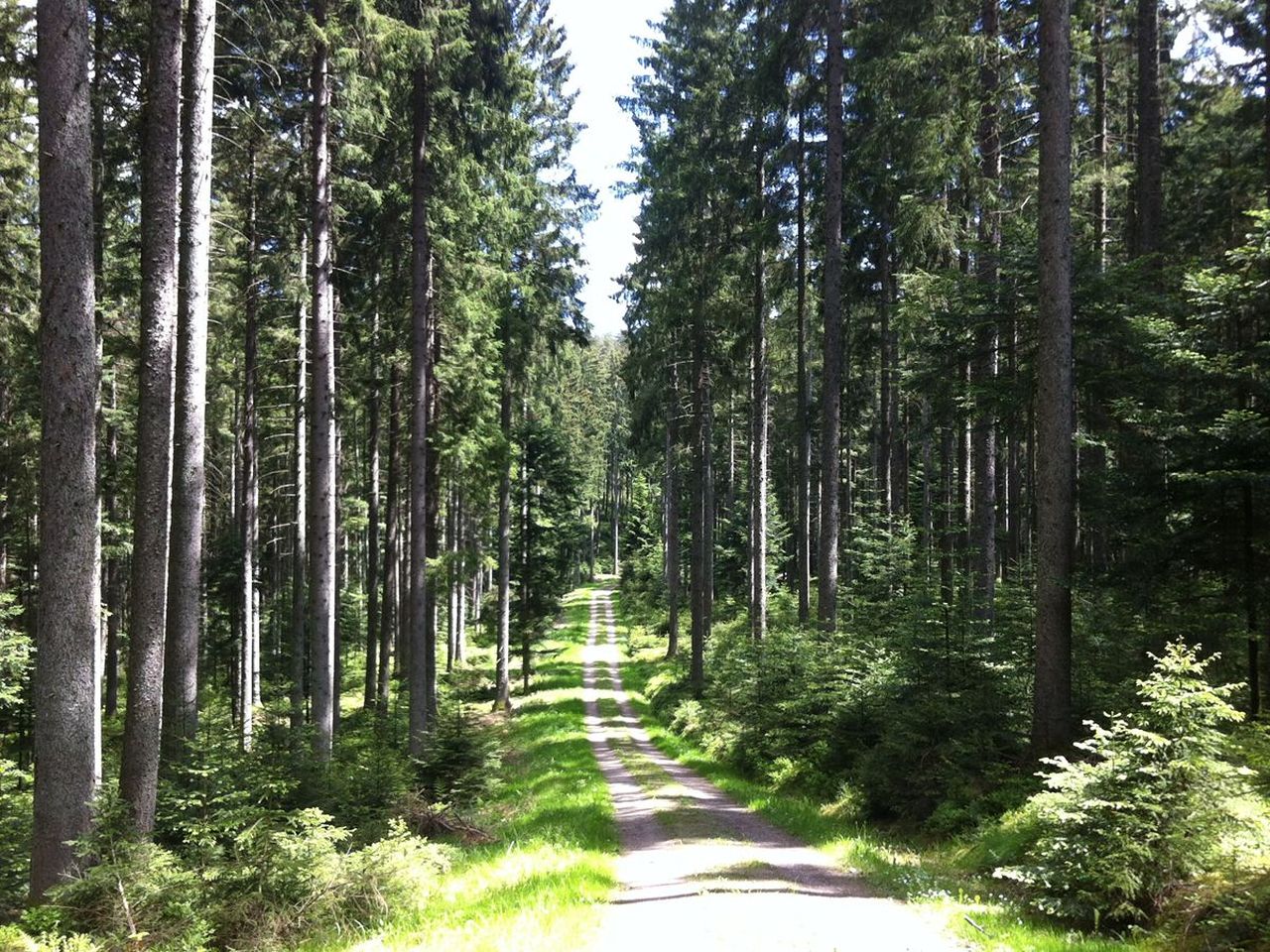 Kuschelnacht im Schwarzwald