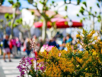 Einfach mal raus - 5 Tage in Bautzen