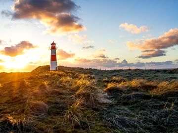 Idylle auf Sylt