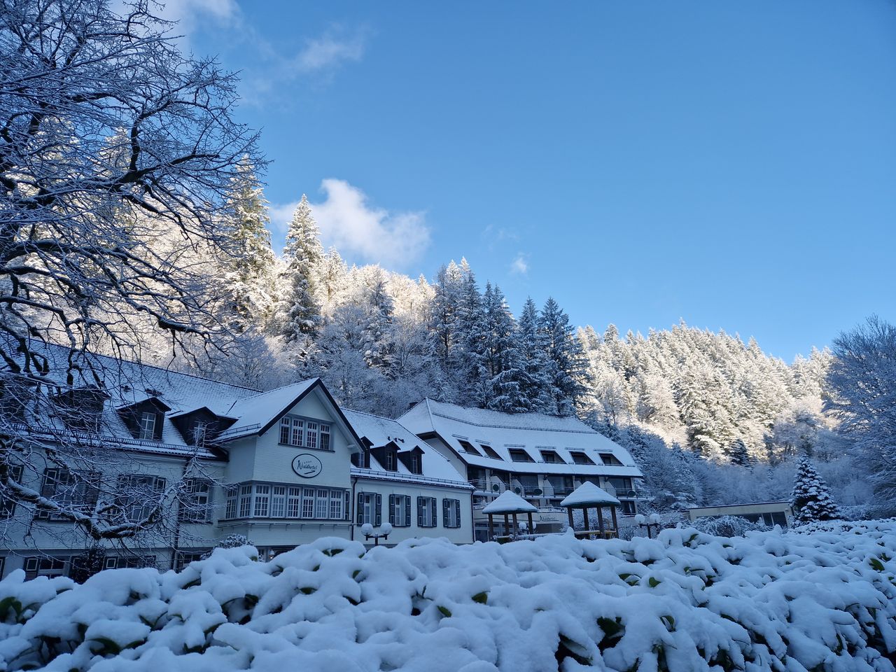 5 Tage Erholung und Wellness im (Schwarz-) Waldhotel