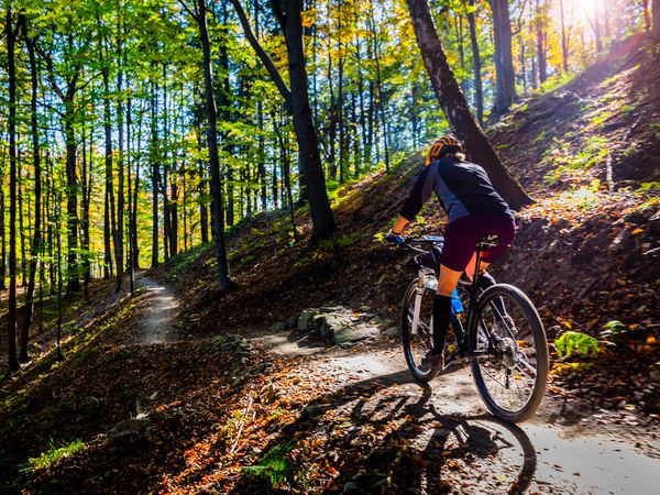 5 Tage im schönsten Naturgebiet der Niederlande in Nunspeet,