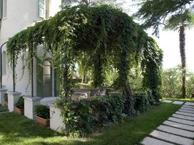 Entspannung am Gardasee - 3 Tage mit Frühstück