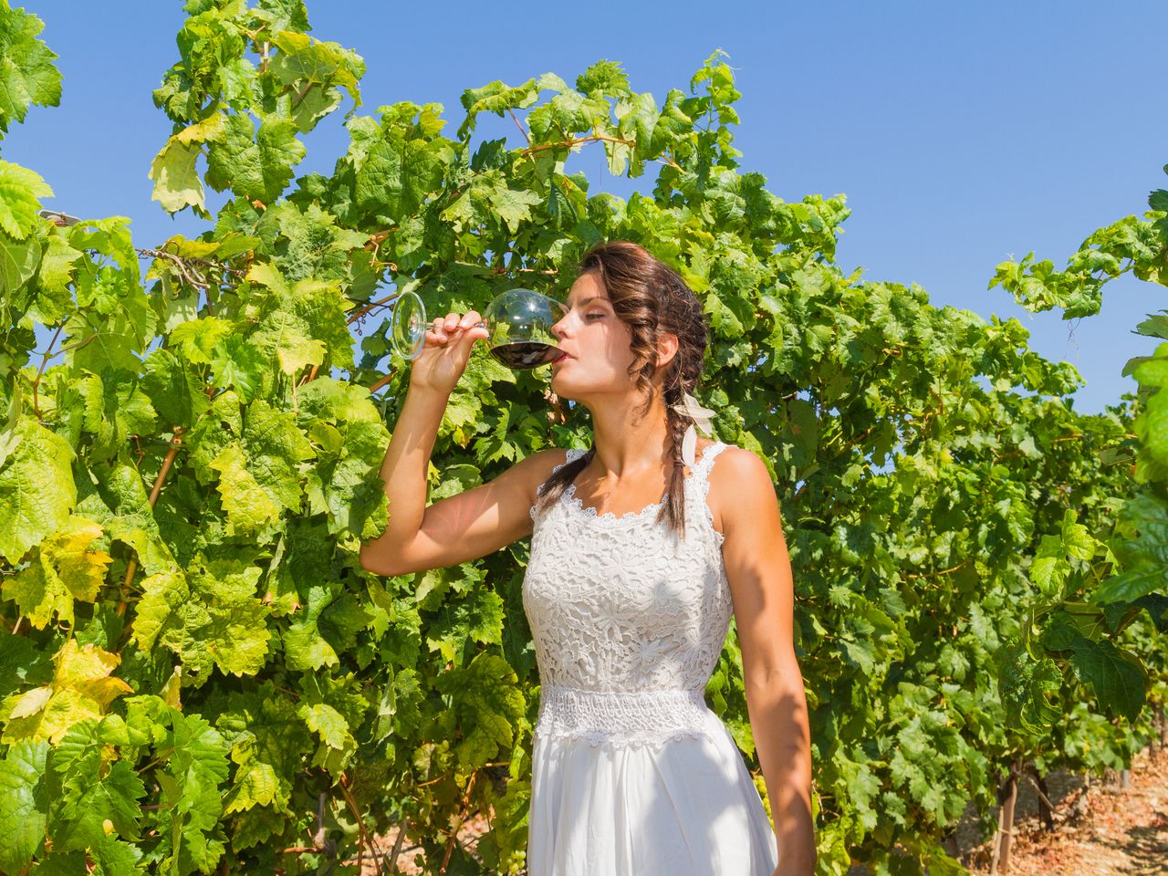 Kurzurlaub im Weinparadies Kaiserstuhl