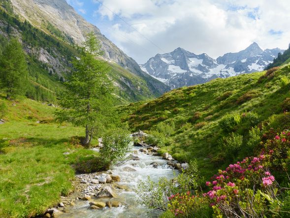 Alpiner Aktiv-Sommer - 8 Tage Mayrhofen im Zillertal