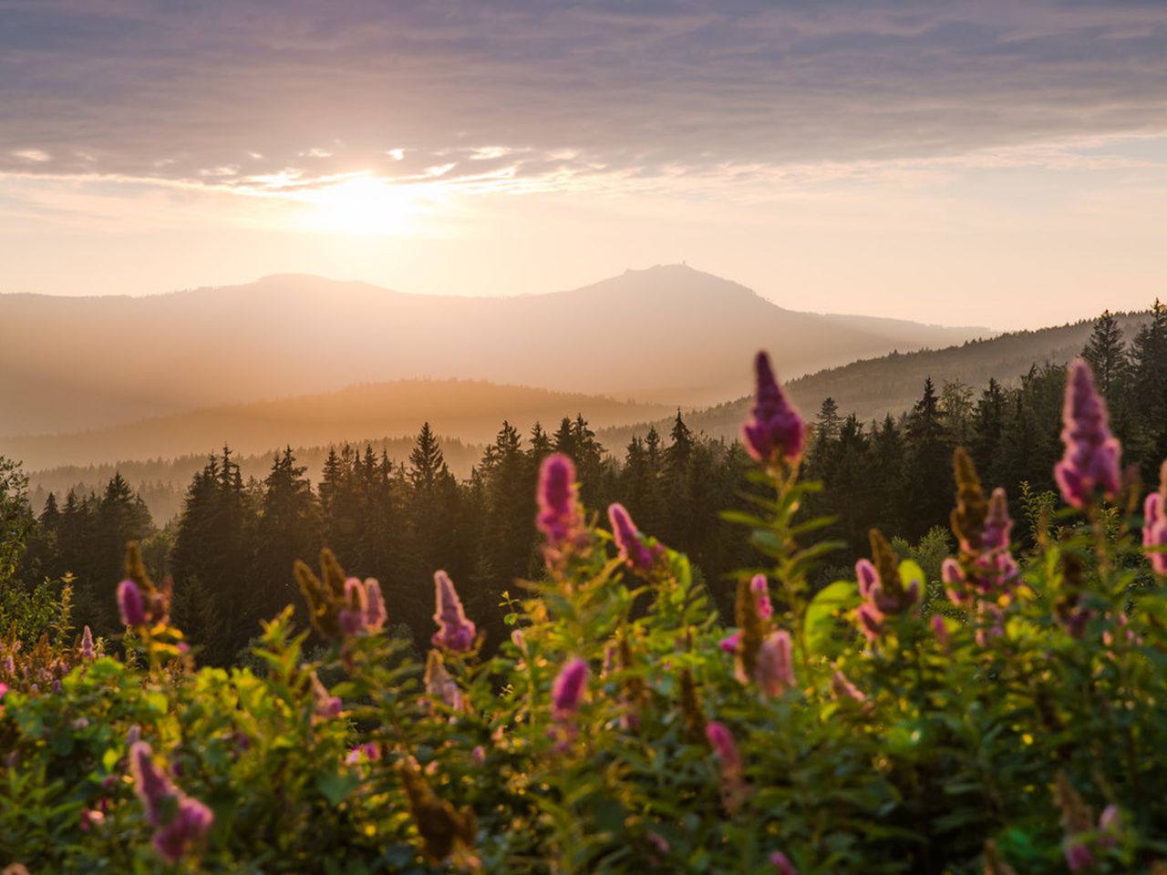 Eine Woche im Bayerischen Wald mit All incl. Light