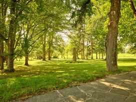 2 Nächte Deal: 3 Tage Gesundheit für die Seele: Waldbaden mal anders