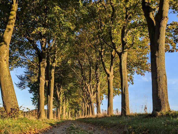 3 Tage Naturerlebnis Teutoburger Wald mit HP