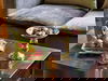 3 Tage mit Frühstück im Privathotel Lindtner Hamburg