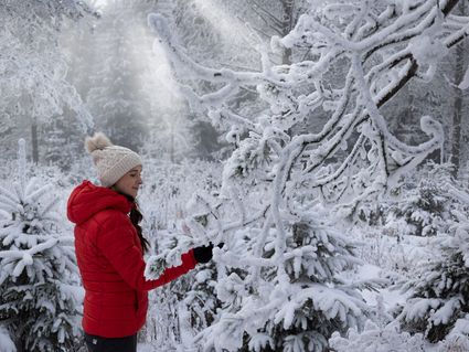 Wintermomente im Erzgebirge