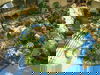Center-Parcs-Angebot 