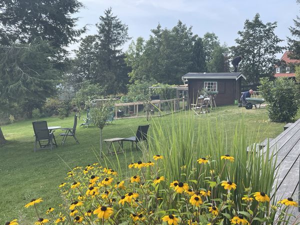 Mit Volldampf auf den Gipfel / 5 Tage im Harz in Braunlage, Niedersachsen inkl. Frühstück