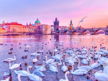 Stadt der hundert Türme entdecken - 3 Tage in Prag