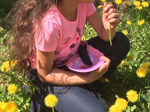 2 Tage Kurzurlaub – Landesgartenschau Furth im Wald in Waldmünchen, Bayern inkl. Frühstück