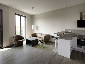 Bild 11 von 16