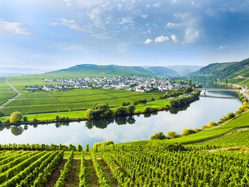 Wellnesshotel an der Mosel
