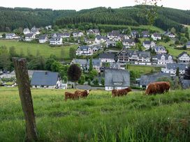 Ein Wanderwochenende im Sauerland inkl. SauerlandCard