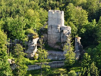 Im Auftrag des Pfalzgrafen