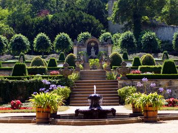 Luxus in voller Blüte–3 Tage Aufblühen im ****S Hotel