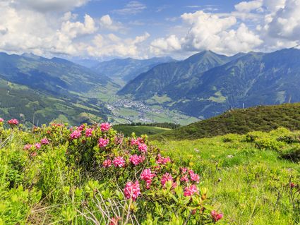 Hotel Alpenblick