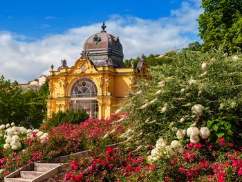 4 Tage Schnupperkur in Marienbad mit  Massagen