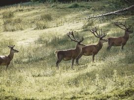 2 Tage traumhafter Urlaub in der Nähe des Chiemsees