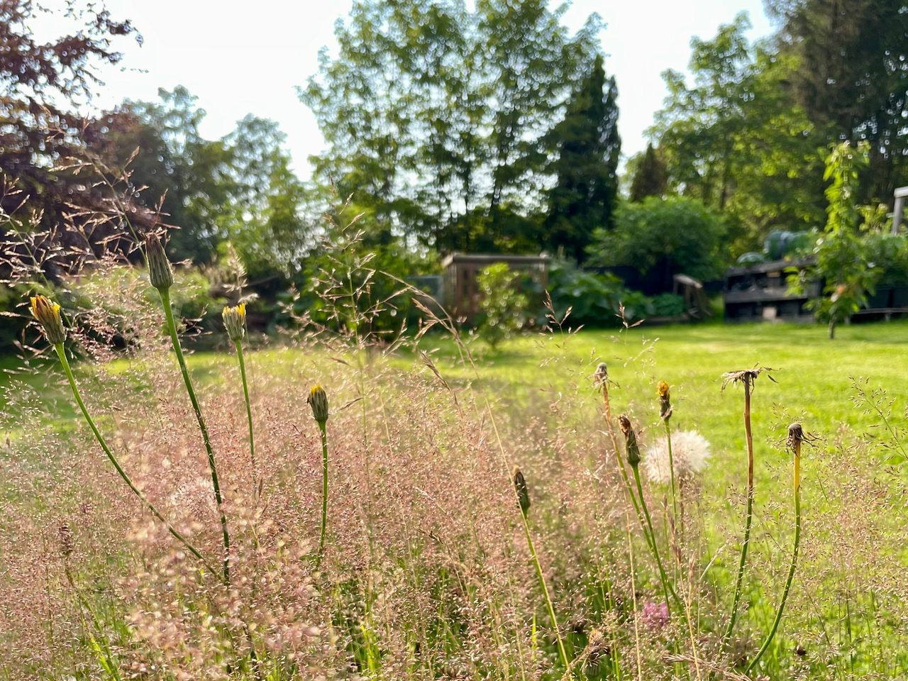 Wanderung Harzer Grenzweg & Dampfzug-Fahrt / 3 Tage