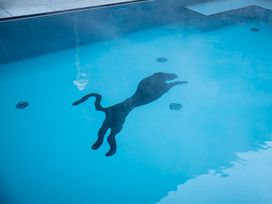 Saalbach-Hinterglemm: 3 Tage Wellness, Genuss & Aktiv