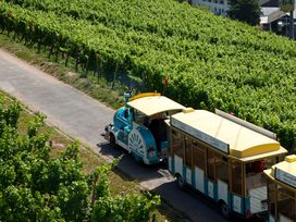 Fröhliches Wochenende in Rüdesheim