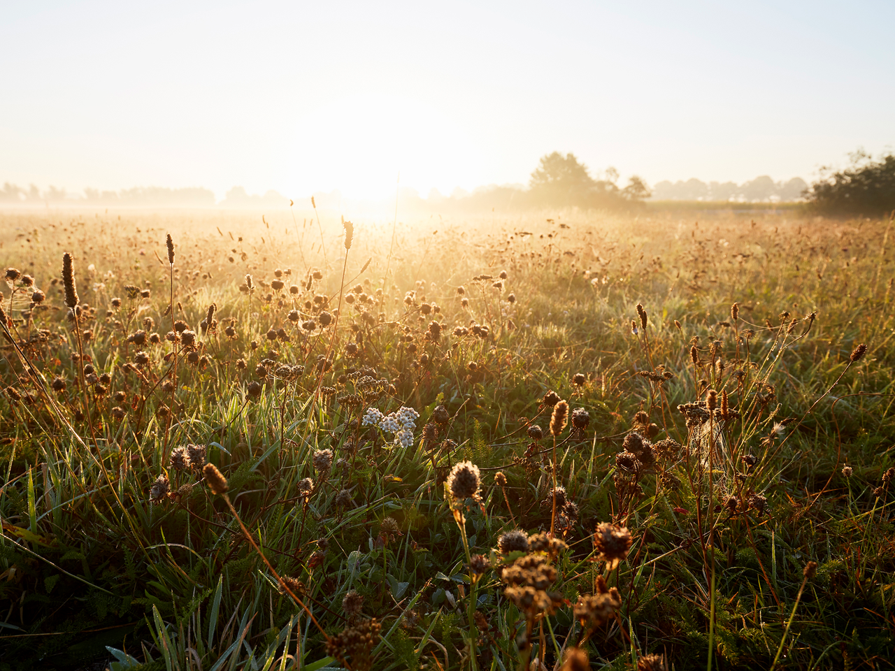 Vitalisierender Spätsommer
