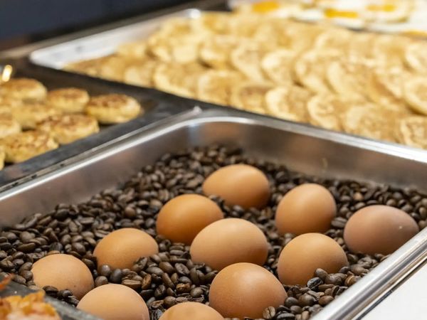 6 Tage Urlaub mit Frühstück im Hotel Buchhorner Hof - Hotel Buchhorner Hof in Friedrichshafen