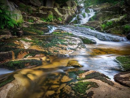 Auszeit im Harz inkl. HP I 8 Tage Kurz-Mal-Natur