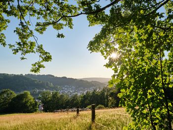 Wandern bei Müller's