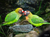 Opel-Zoo Tickets mit Hotel